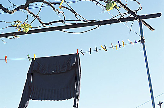 晾衣绳,毛衣,干燥,树,枝条,秃头,绳索,洗衣服,衣服,悬挂,概念,家务,淡蓝