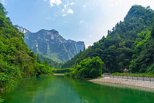 湖北宜昌三峡竹海夏日风光