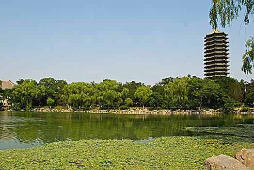 北京大学的未名湖和博雅塔
