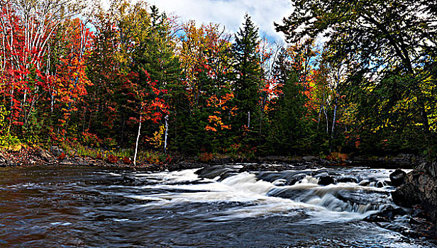 河,漂亮,全景,秋天,自然风光,阿尔冈金,安大略省,加拿大