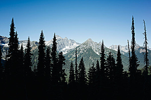 山,高山,树林,前景,太平洋,山峰,小路,靠近,下雨,北瀑布国家公园