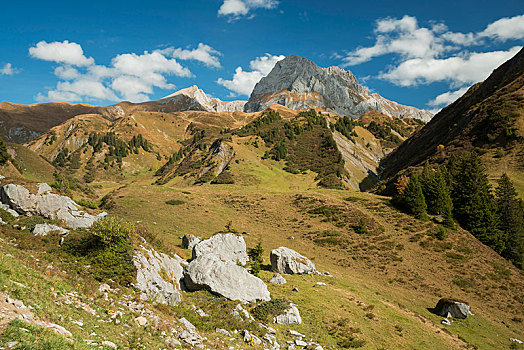 风景,山,湖,奥地利,欧洲