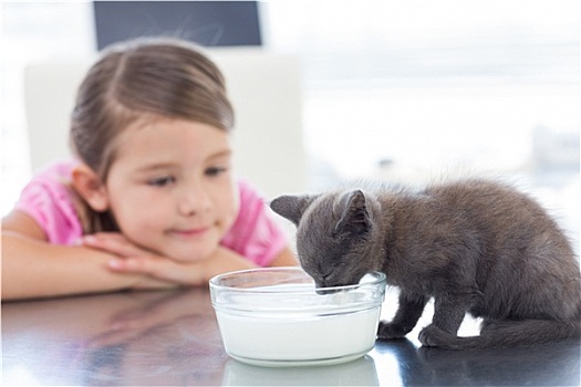女孩,看,小猫,喝,牛奶,碗