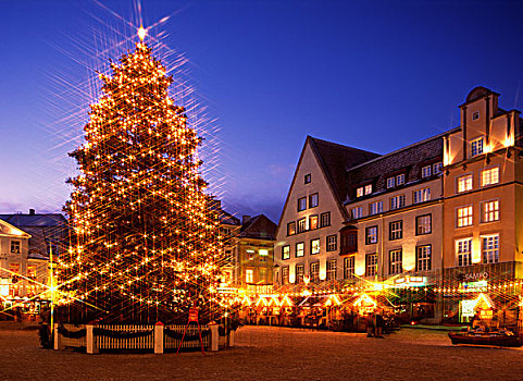夜景,城镇,圣诞节,树,世界遗产,塔林,爱沙尼亚,欧洲