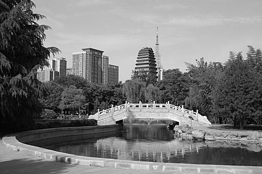 小雁塔,荐福寺,西安博物院