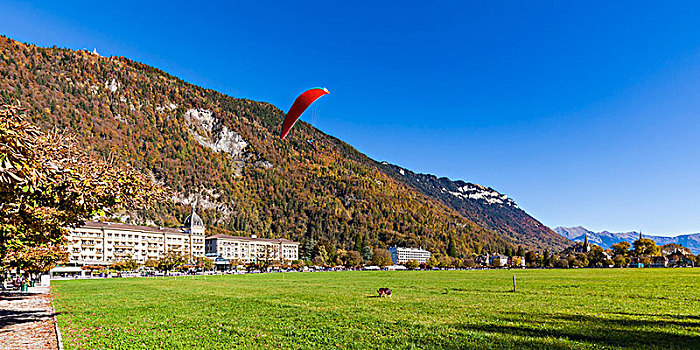 瑞士,伯恩,伯恩高地,因特拉肯,公园,滑翔伞,上方,降落,场所,大酒店,水疗