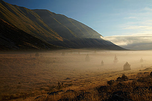 新西兰,南岛,麦肯齐山区,早晨,雾气