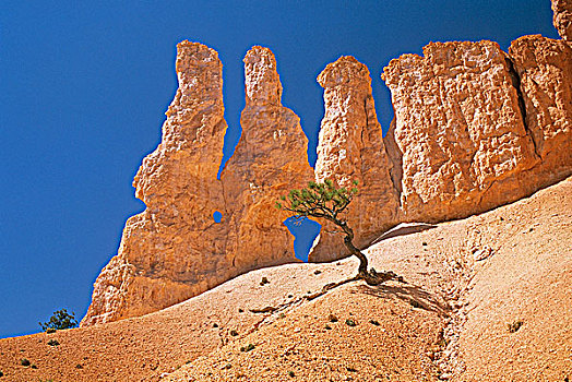 美国,犹他,布莱斯峡谷国家公园,仙人烟囱岩