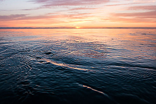 日落,上方,海洋,因西尼塔斯,加利福尼亚,美国