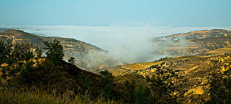 高原雾景