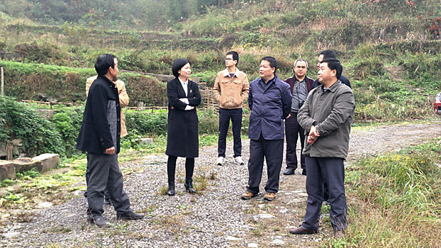 重庆市云阳县的党员干部在农村基层发展产业