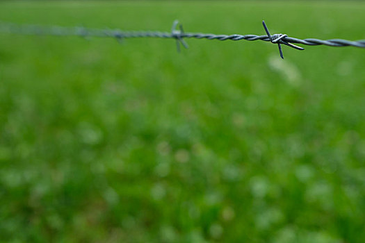 刺铁丝网,草场,栅栏