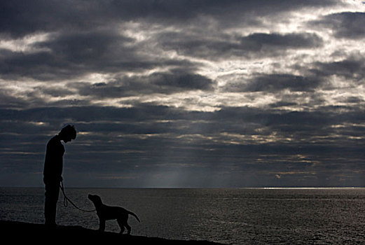家犬,拉布拉多犬,小狗,物主,剪影,海岸,海滩,英格兰,英国,欧洲