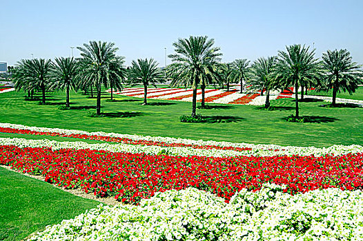 花园,迪拜,阿联酋,2004年
