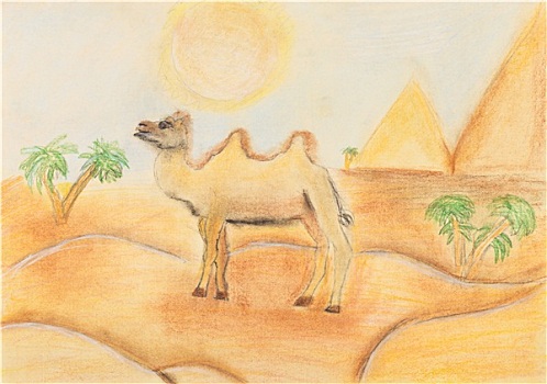 双峰骆驼,热,沙漠