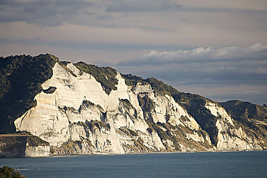 白色,悬崖,塔拉纳基,北岛,新西兰
