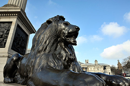 狮子,纪念建筑,纳尔逊,特拉法尔加广场,伦敦