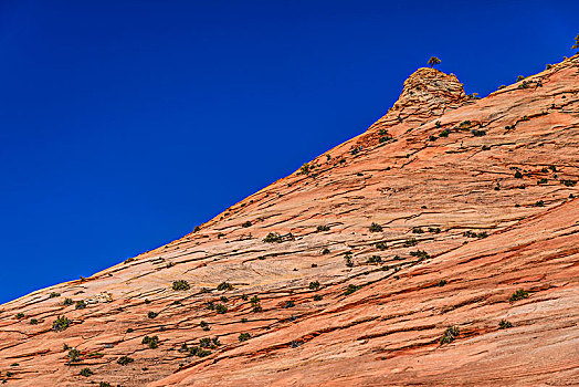 美国,犹他,华盛顿,锡安国家公园,局部,城镇,风景,锡安山,攀升,卡梅尔公路