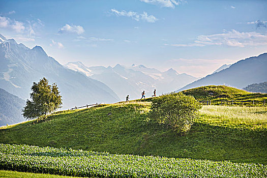 女人,两个男人,跑,向上,山,阿尔卑斯山,后面,提洛尔,奥地利,欧洲