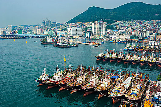 俯瞰,上方,港口,打渔船队,釜山,韩国