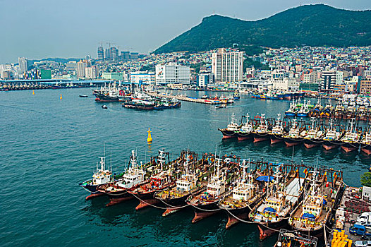 俯瞰,上方,港口,打漁船隊(duì),釜山,韓國