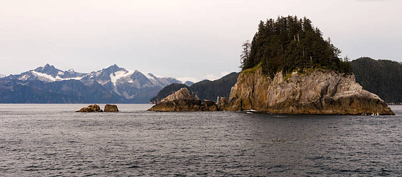 岩石,山岗,山脉,海湾,阿拉斯加,北方,太平洋,阿拉斯加湾