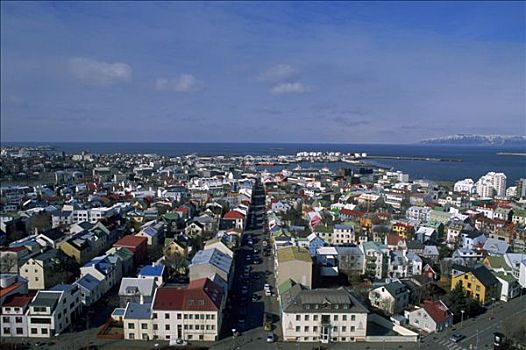 冰岛,全景,城镇,海洋,背影