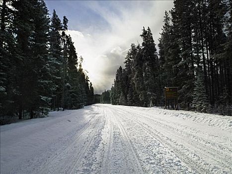 乡村道路,冬天