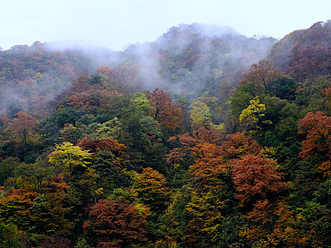 大九湖,神农架