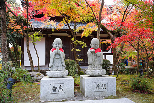 日本京都永观堂