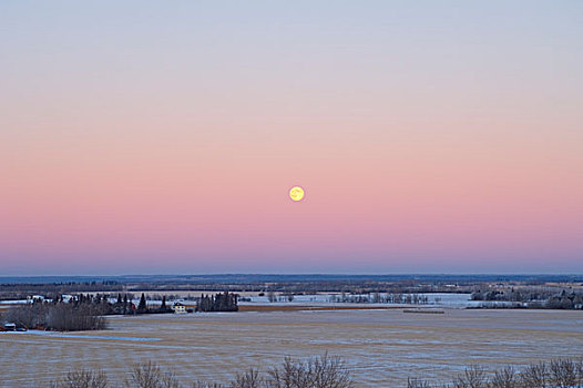 冬天,草原,土地,艾伯塔省,加拿大