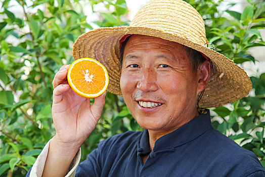 农民手拿一个切开的夏橙