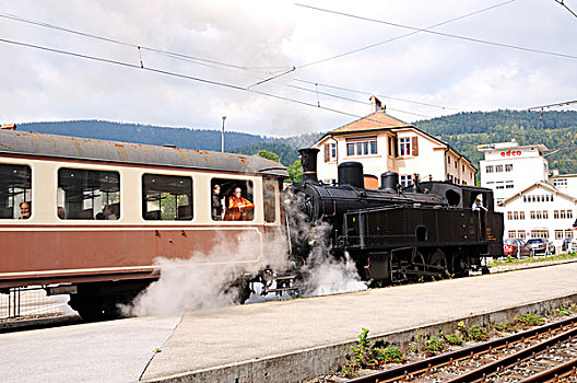 蒸汽,列车,沃州,瑞士,欧洲