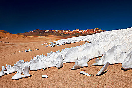 冰,正面,山,动物,安第斯山,玻利维亚
