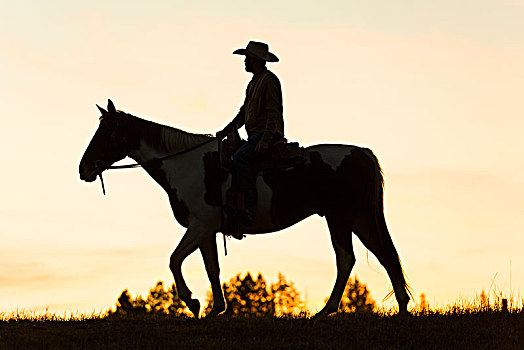 骑马,草原,风景,日落腿,骑马,美国西部,俄勒冈,美国两个,牛仔,骑,骑马