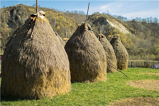 干草堆,草地