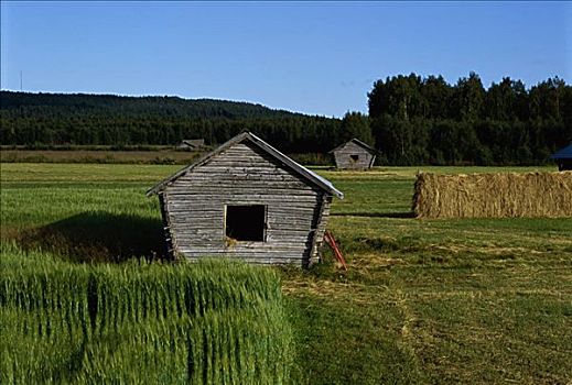 干草,存储,北博滕省,瑞典