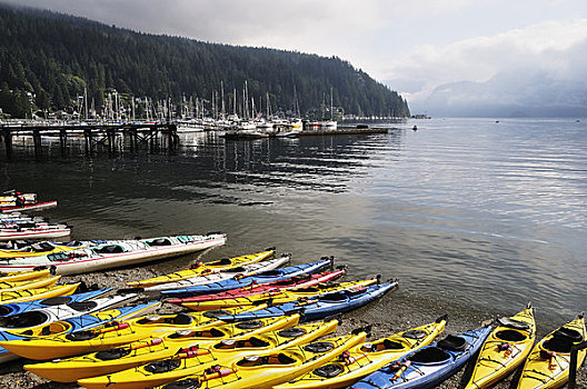 独木舟,皮划艇,北温哥华,不列颠哥伦比亚省,加拿大