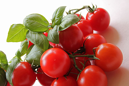 西红柿,罗勒,白色背景,背景
