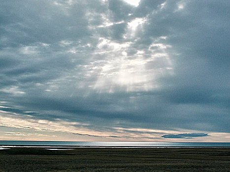 太阳,光照,灰色,阴天,上方,海平线,雷克雅未克,冰岛