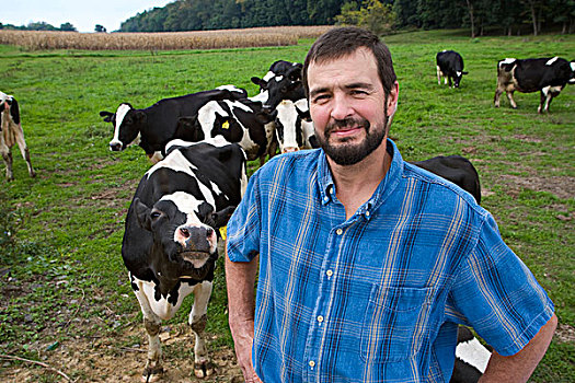 牲畜,乳业,姿势,草场,黑白花牛,母牛,后面,靠近,宾夕法尼亚,美国