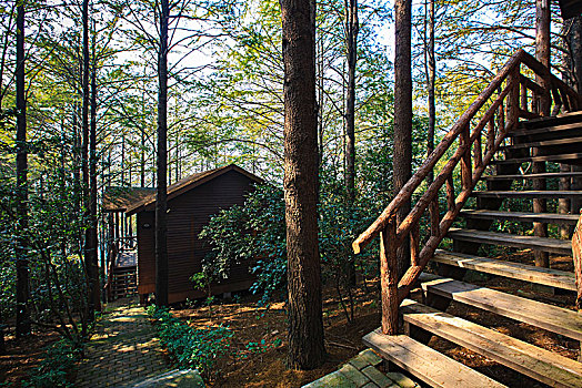 小木屋,客房,度假,住宿,原生态,自然,山林,树林