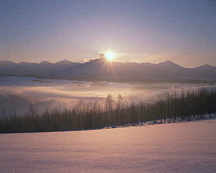 冬天,山地,日出