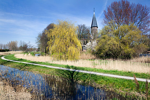小路,教堂,荷兰