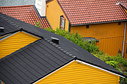 挪威,卑尔根,屋顶