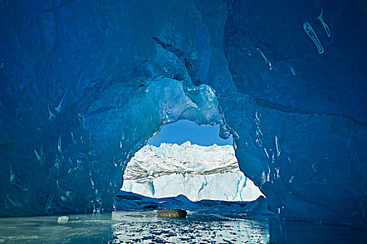 室内,冰,洞穴,冰山,冰冻,湖,东南阿拉斯加,冬天