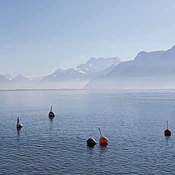 浮漂,水,日内瓦湖