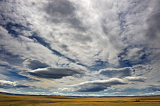 生动,云,高处,南美大草原,巴塔哥尼亚,智利,南美