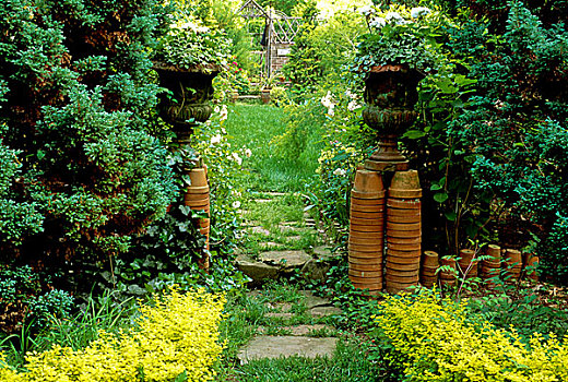 入口,花园,房间,种植,小檗属