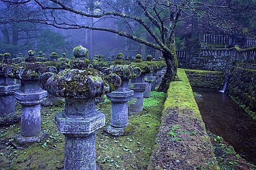 石头,灯笼,黄昏,神祠,国家公园,日本